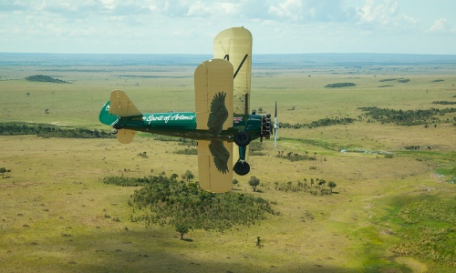 Capetogoodwood%20(23).png